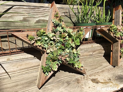 ｜旅遊-舊金山｜ 舊金山 四大天王咖啡之一：Ritual Coffee 花園店- Flora Grubb Gardens
