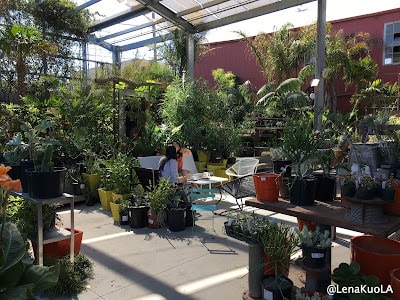 ｜旅遊-舊金山｜ 舊金山 四大天王咖啡之一：Ritual Coffee 花園店- Flora Grubb Gardens