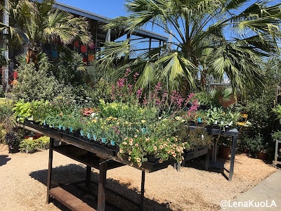 ｜旅遊-舊金山｜ 舊金山 四大天王咖啡之一：Ritual Coffee 花園店- Flora Grubb Gardens