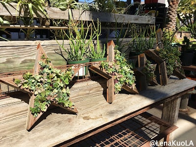 ｜旅遊-舊金山｜ 舊金山 四大天王咖啡之一：Ritual Coffee 花園店- Flora Grubb Gardens