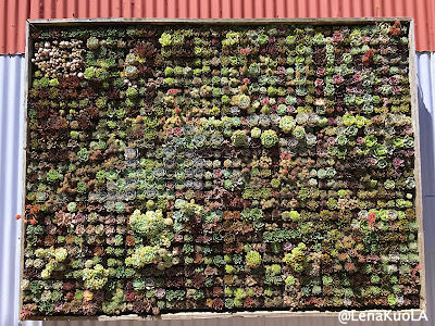｜旅遊-舊金山｜ 舊金山 四大天王咖啡之一：Ritual Coffee 花園店- Flora Grubb Gardens
