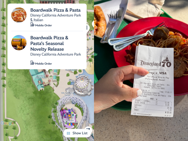 【旅遊】Disneyland Park Resort 加州迪士尼，攻略！